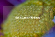 抖音怎么运营才安全呢呢