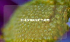 拍抖音引流是什么意思
