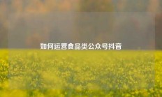 如何运营食品类公众号抖音