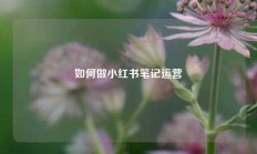 如何做小红书笔记运营