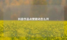 抖音作品点赞震动怎么开
