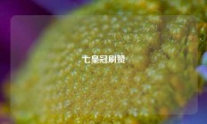 七皇冠刷赞