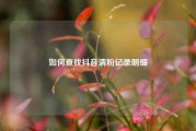 如何查找抖音清粉记录明细