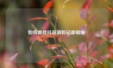 如何查找抖音清粉记录明细