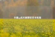 卡盟qq名片刷赞软件手机版