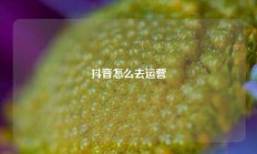 抖音怎么去运营