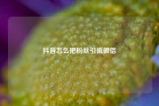 抖音怎么把粉丝引流微信