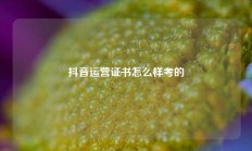 抖音运营证书怎么样考的