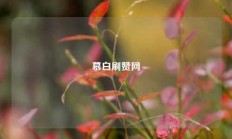 慕白刷赞网