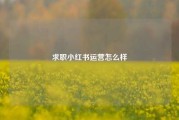 求职小红书运营怎么样