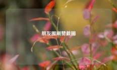 朋友圈刷赞截图