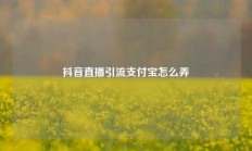 抖音直播引流支付宝怎么弄
