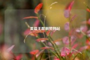 美篇无限刷赞网站