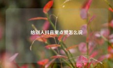给别人抖音里点赞怎么说