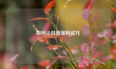 如何让抖音涨粉过万
