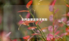 全网最便宜快手死粉