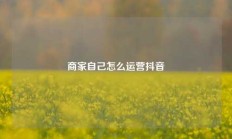 商家自己怎么运营抖音