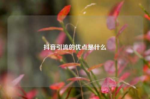 抖音引流的优点是什么