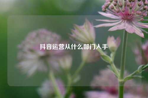 抖音运营从什么部门入手