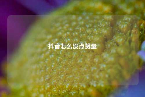 抖音怎么没点赞量