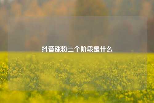 抖音涨粉三个阶段是什么