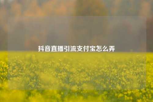 抖音直播引流支付宝怎么弄
