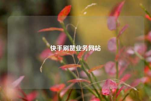 快手刷赞业务网站