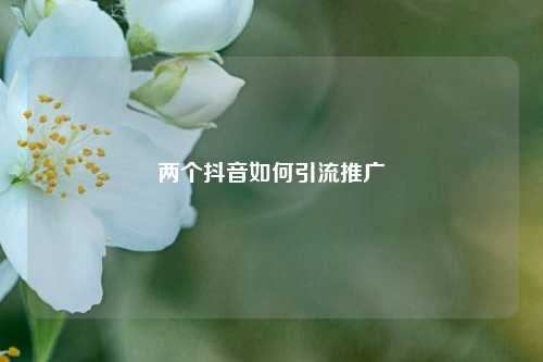 两个抖音如何引流推广