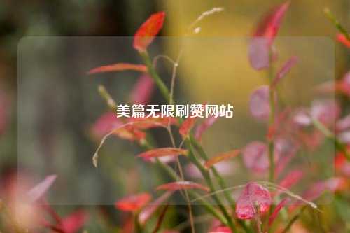 美篇无限刷赞网站