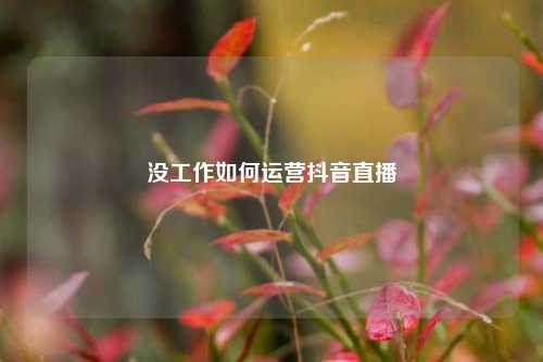 没工作如何运营抖音直播