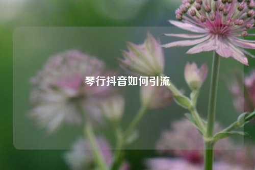 琴行抖音如何引流
