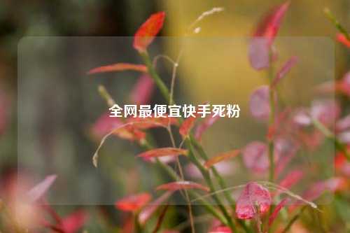 全网最便宜快手死粉